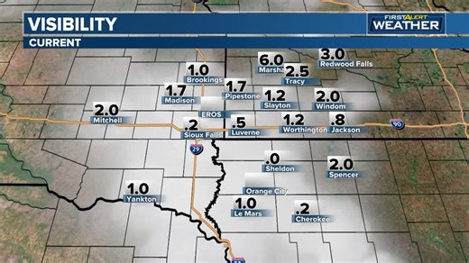 As of 2 pm, whiteout conditions are present in far southeastern parts of the viewing area. Snowfall rates between 1 to 1.5 inches per hour are expected in far southeastern South Dakota and northwest Iowa through the afternoon and early evening. | Dakota News Now