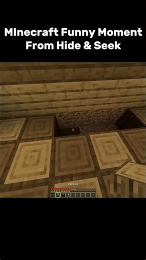 Minecraft funny moments from hide and seek#minecraft#funny moments😆#hide and seek😊