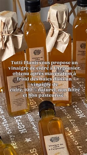 Tutti_Planti | L’Argousier, en latin Hippophae rhamnoides, est un arbuste comportant de nombreuses épines , des petites baies rondes de couleur jaune... | Instagram