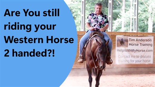 Take your western riding skills up a notch with my comprehensive guide on transitioning from two-handed to one-handed riding. Learn the key steps, exercises, and adjustments needed for a smooth transition. Perfect for riders aiming to improve their technique and performance in various western events. Like, share, and subscribe for more top-tier horse training content and join our community of dedicated western riders! | Tim Anderson Horse Training