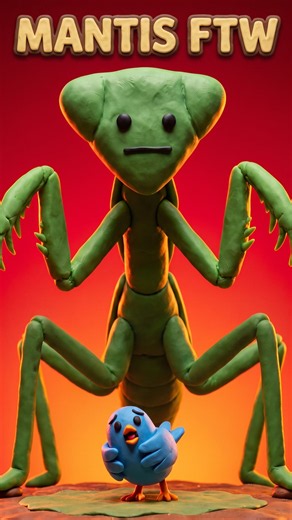 Why The Praying Mantis Is A Silent Killer 🦗