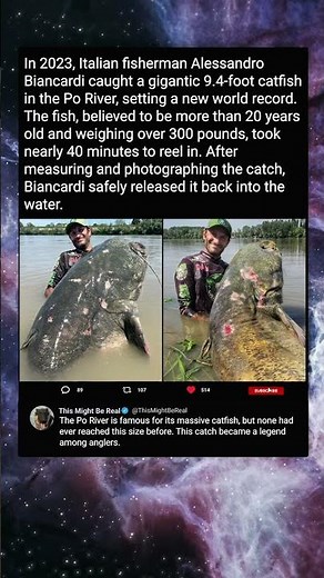 World’s Largest Catfish Caught in Italy