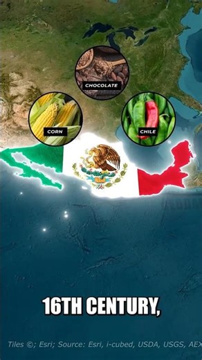 🇲🇽 Top 5 Amazing Facts About Mexico | you don't know. #facts