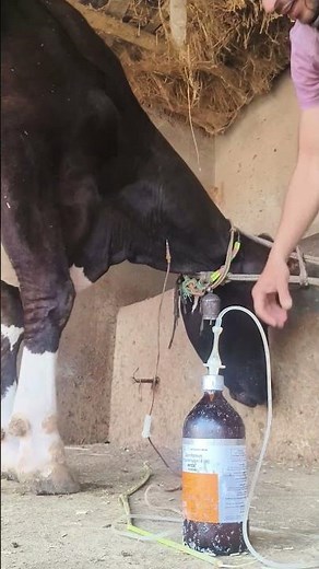 Quick and easy method for intravenous cannulation in jugular vein l Mathur Mondal