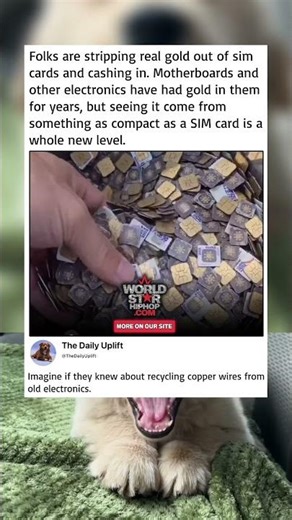 Turning old SIM cards into actual gold. Modern day alchemy!