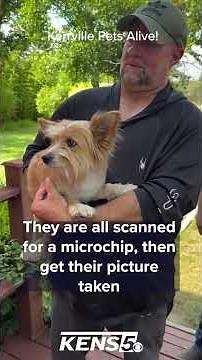 Kerrville Pets Alive! helping reunite lost pets with their loved ones