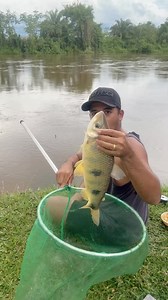 53K views · 25K reactions | Olha aflição minha e do meu companheiro para tirar o peixe logo da água ‍♂️ #pescaria #pesca #viral | Guilherme Almeida | Facebook