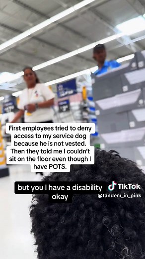 ONLY AT WALMART. #dog #poodle #servicedog #walmart #accessissue #pots #posturalorthostatictachycardiasyndrome