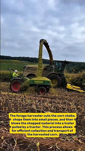 Corn Harvesting in Action: See the Power of Modern Forage Harvesters!