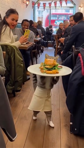 The Struggle for Food Is Real | Comic Vision