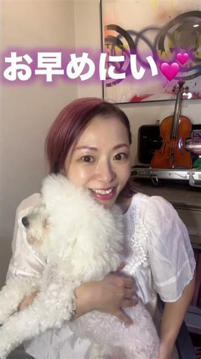 落ち着きのないルーク（ビションプー）とライブ告知❣️#shortvideo #shorts #short #ヴァイオリン #violin #ライブ #音楽