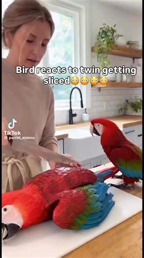 Happy Halloween from the gang! Stay safe tonight!!🧡🧡🧡🎃 | Old Lady Gang