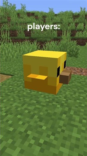 The chicken block #minecraft #minecraftmeme #funny