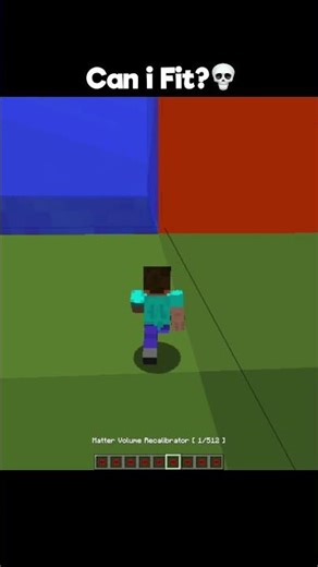 Minecraft Fitting Moment 💀