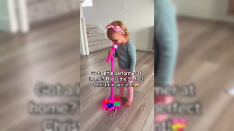 The All-in-One Microphone Toy, 2026 New Multi-Functional Kids Karaoke Microphone Toy with Speaker and Colorful Led, Plays Songs, Echo Microphone for Kids, Christmas Birthday Gifts (Pink)