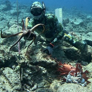 970K views · 12K reactions | Hawaii's Best Deep Sea Hunters | Ryan Myers Spearfishing | Facebook