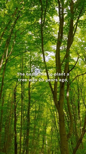 Yes, Today | ThoughtMotive #clarity #focus #growth #believe