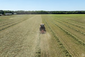 Living in Hebron, MD