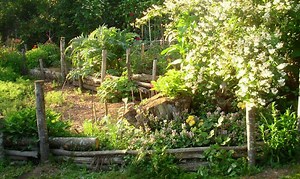 Building a Raised Bed On A Slope: How To Do It Right