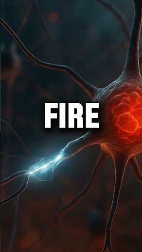 How Fast is a Single Neuron? Neuroscience