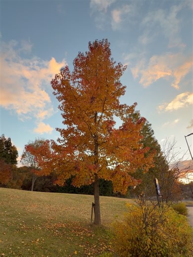 袁竣鋒 Mike Yuen on Reels