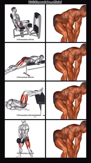 ✅ How to Build Bigger Glutes ① Hip Abduction ② Reverse Hyper Extension ③ Bench Glute Bridge ④ Sumo Squat 3 sets 12 reps | Fitnesslabo