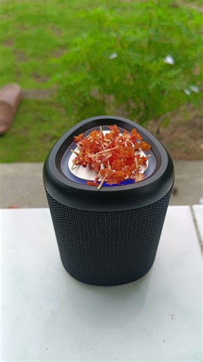 bass test with red flowers #sound #speaker #bass