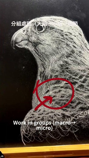 How to draw natural fur/ feathers？ #blackboardart