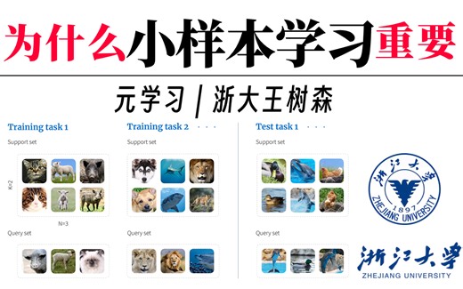 只有搞定了小样本学习，才能说模型具有了人类智能！浙大王树森轻松讲透【小样本学习与元学习】—微调、大模型、人工智能、深度学习、机器学习