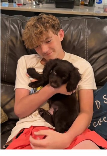 Welcome to your furever home Scout. | scout