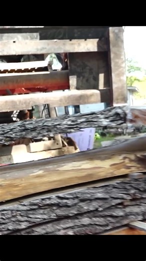 10K views · 137 reactions | I built a sawmill business from scratch 蝹 #Sawmill #Woodworking #DIYProjects #SmallBusiness #CustomFurniture #Minnesota #BusinessJourney #WoodMizer #SawmillTour #LiveEdge | Matt Cremona | Facebook