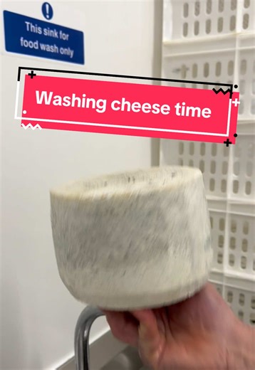 Washing Cheese: Essential Step in Cheese Making