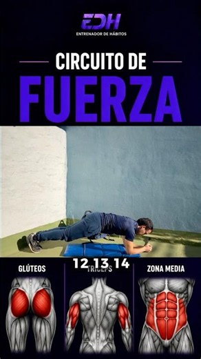 3 ejercicios para ganar fuerza en todo el cuerpo #calistenia #fuerza #strong#pesocorporal #fit #gym