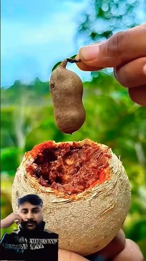 Wood Apple (Bael) Fruit Cutting | Rare Bel Fruit Pulp Close-Up | Satisfying Video #woodapple bael
