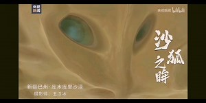 库木库里沙漠惊现疑似外星人脸