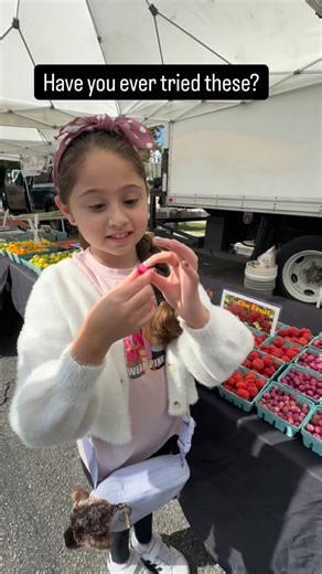 Hannah Lea & Michelle Dorit on Instagram: "Lilly pilly fruits have been enjoyed in Australia for thousands of years, especially within Indigenous communities who valued their bright color, natural sweetness, and unique flavor. What makes them so interesting is that even a single Lilly pilly can taste different with each bite. Sometimes it’s sweet, sometimes tart, sometimes juicy, sometimes dry, and sometimes with a little tang or spice. And that natural variability is exactly why fruits and vege