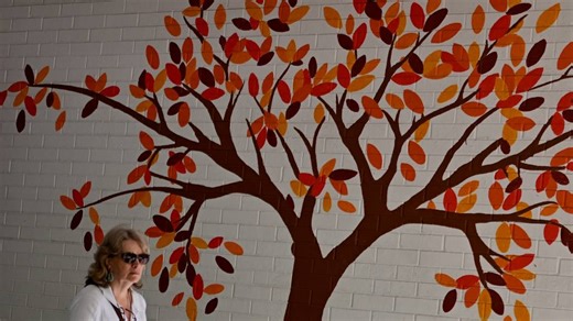 Census recruitment to reflect community diversity