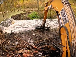 498K views · 2.8K reactions | A Large Dam In The Middle Of The Forest - Beaver | Beaver Dam Removal | Facebook