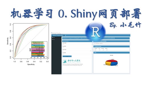 R语言 机器学习 shiny 网页部署 0