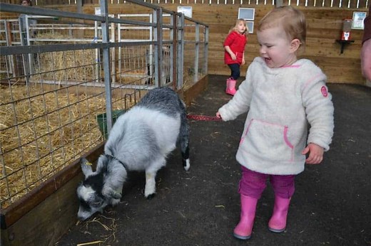30  things to do in Devon with toddlers