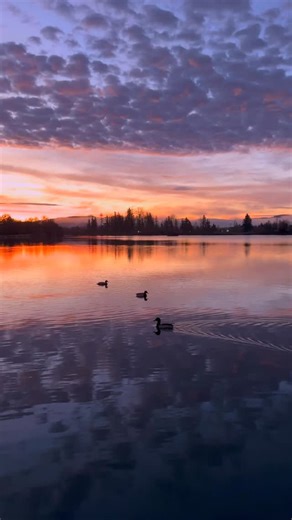 1.1K reactions · 238 shares | Boring Old Guy on Reels | Facebook