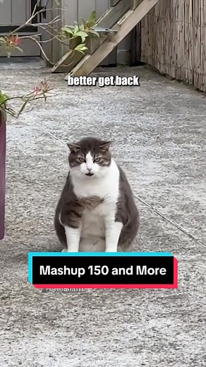 Dusty🗣️Dubs Hilarious Voiceover Mashup 150 and More 😂 🎥: @lilian / website submissions #voiceover #hilarious #dustydubs