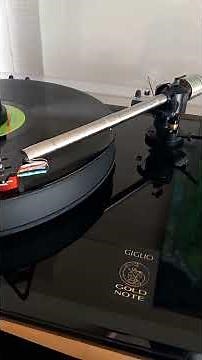 Gold Note: Giglio w/B-7 arm, Donatello Red MC Cartridge, and PH-10 Phono Stage.