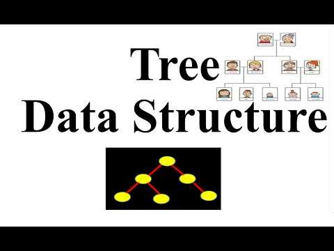 Tree Data Structure| Properties of Tree| Lecture 4 |Chapter 4th |1st year Computer Science