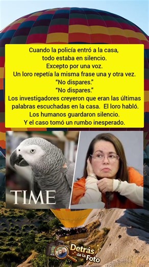El Loro que “Testificó” en un Caso Criminal en Estados Unidos