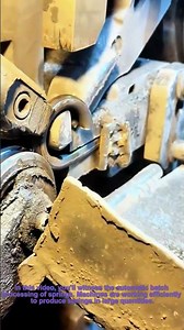 Automatic Batch Processing of Springs