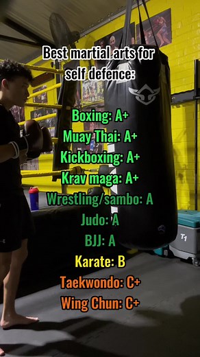Audios cooked but #fyp #foryou #mma #martialarts #selfsefence #tierlist #boxing #muaythai #kravmagacaveira #wrestling #judo #jiujitsu #karatekid #taekwondo #wingchun