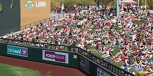 The lawn is the ultimate baseball playground