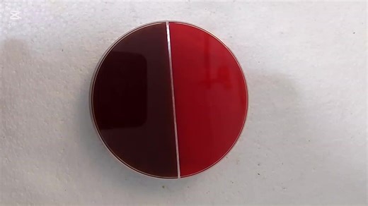 A Day in the Life of a Medical Laboratory Scientist