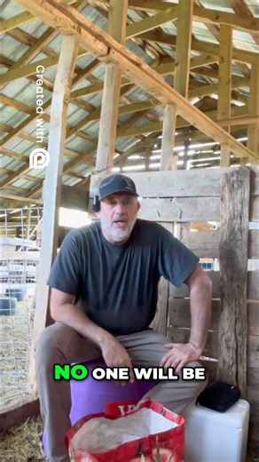 7 day CIDR cycle optimization your spring breeding production which will optimize your cash flow!